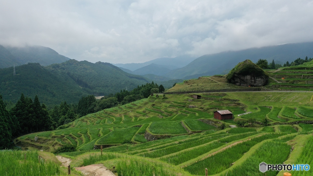 丸山千枚田