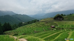 丸山千枚田