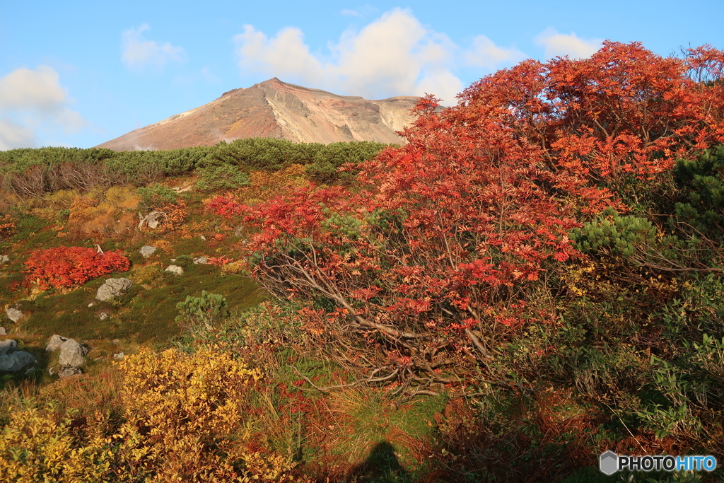 2017年大雪山姿見駅前の紅葉