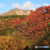 2017年大雪山姿見駅前の紅葉