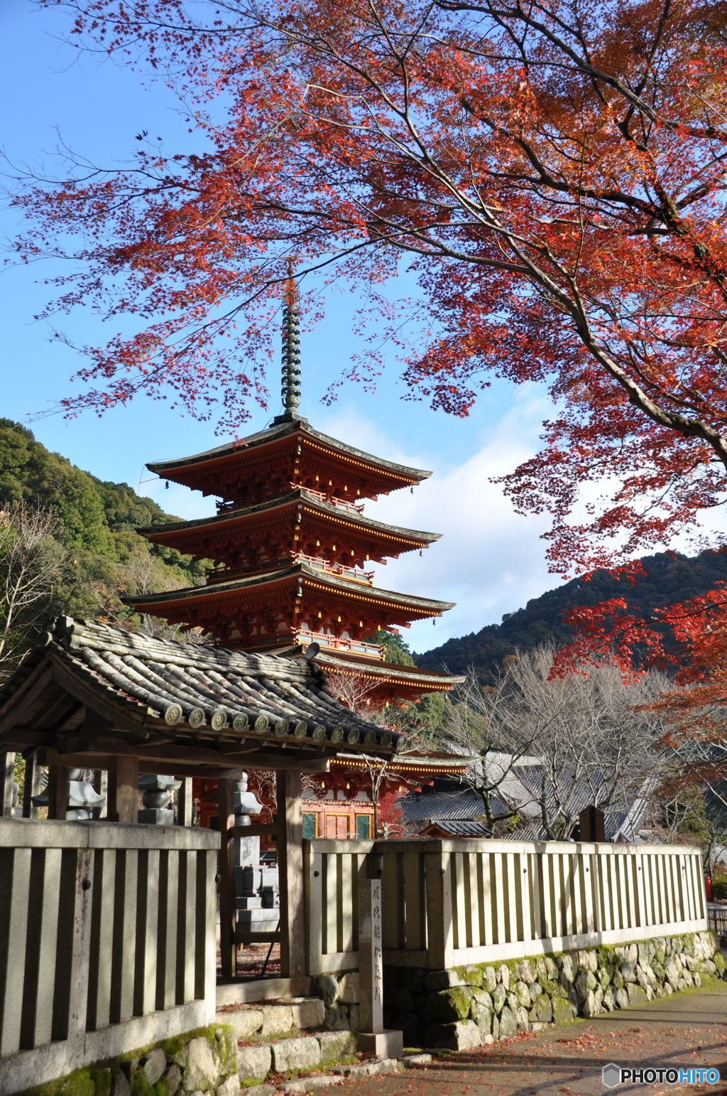 奈良県長谷寺の紅葉
