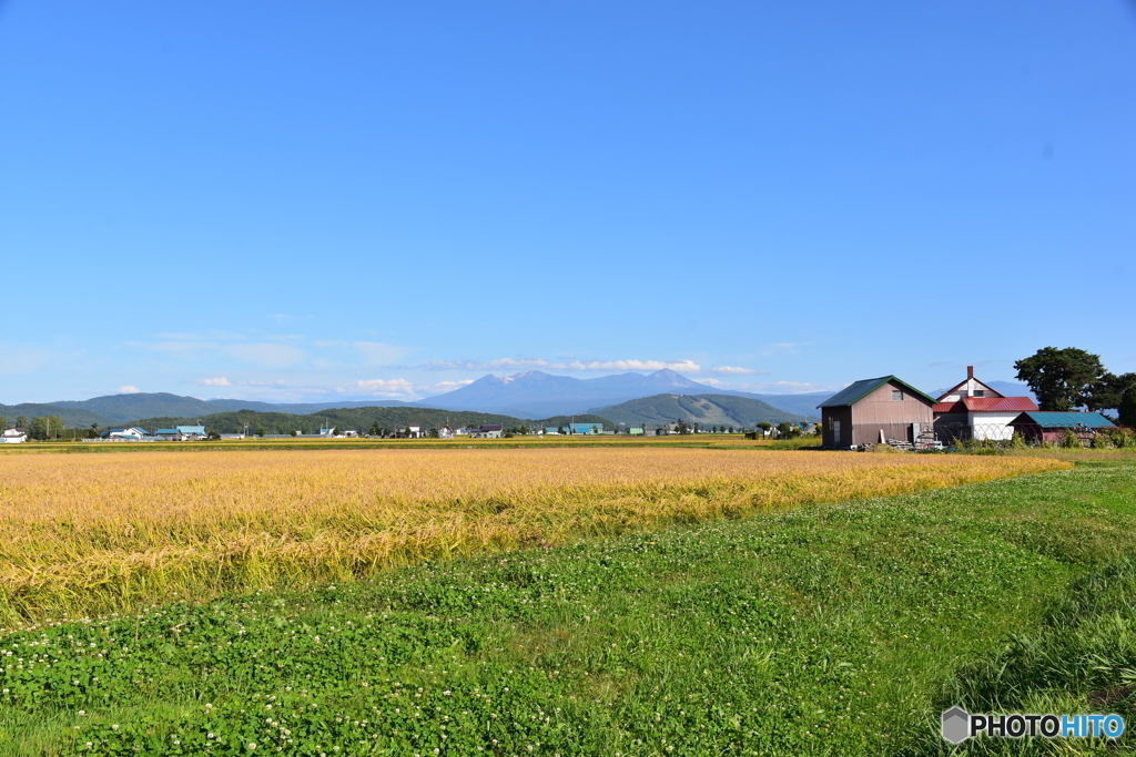 旭川に来たヨ