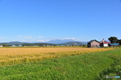 旭川に来たヨ