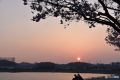 春の夕日
