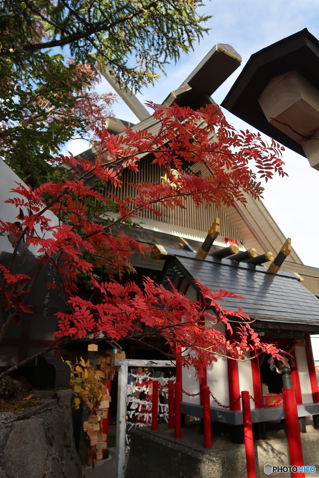 富士山五合目の紅葉