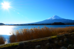 大石公園の朝