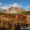 2017年大雪山の紅葉