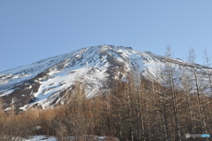 富士山五合目②