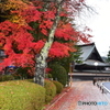 和歌山県高野山の紅葉③