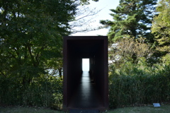 その先には