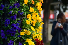 写真のための休日