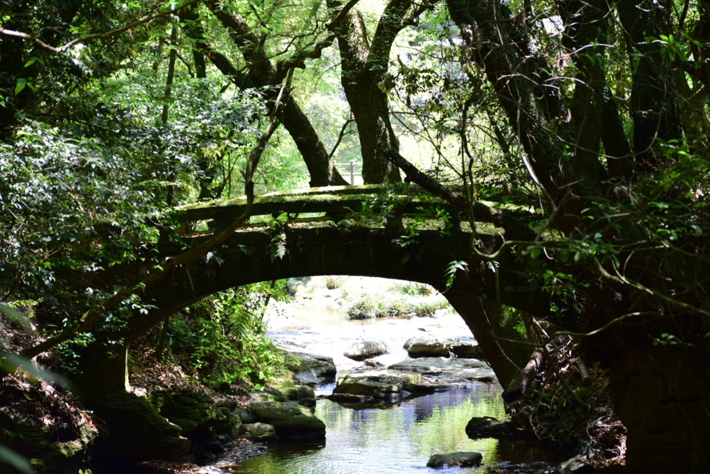 苔橋