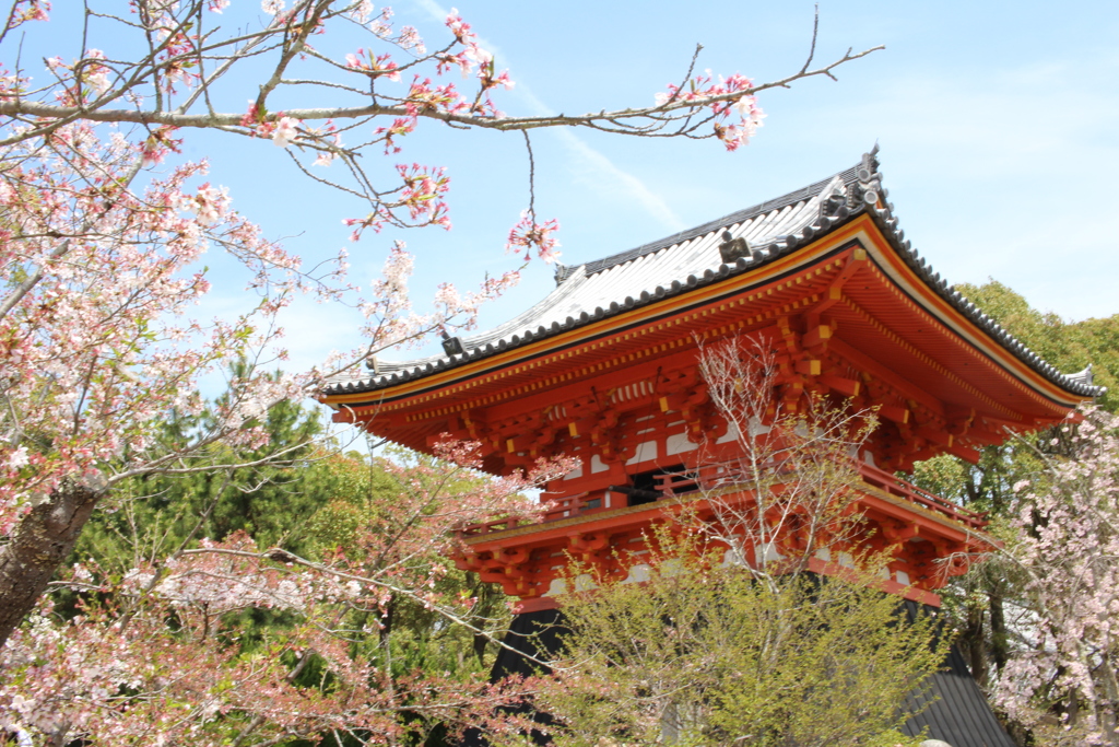 仁和寺の鐘楼