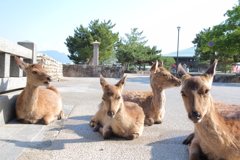 朝は眠いなー！