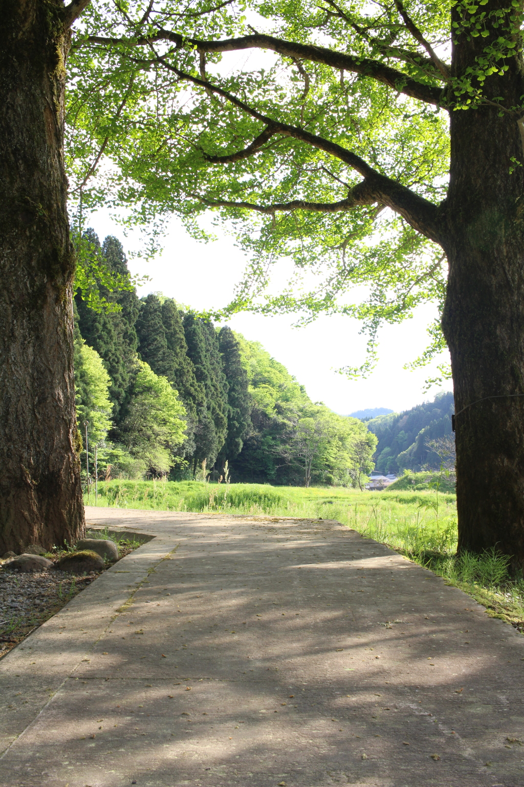 この間をくぐれば！