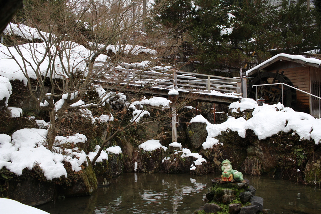 池の真ん中にかえるが座っております