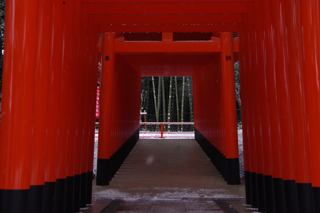 雪景色