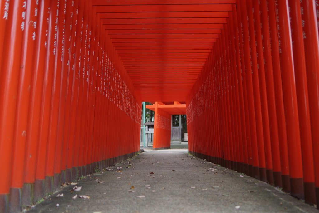 朱色の道