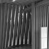 monochrome world at 白山宮　足王社