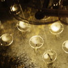 水に打たれる花
