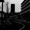 monochrome world