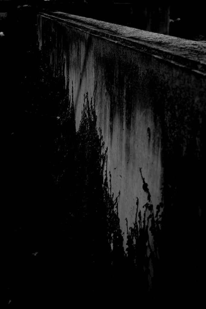 monochrome heart