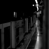 monochrome world