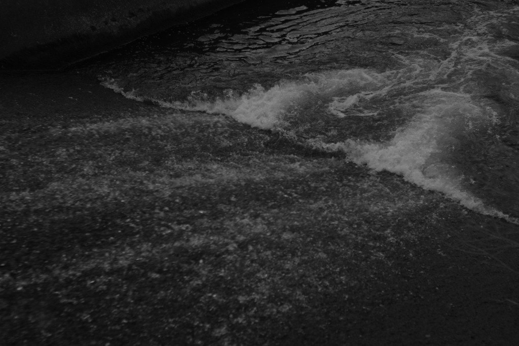 monochrome world