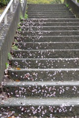 雨上がりの春