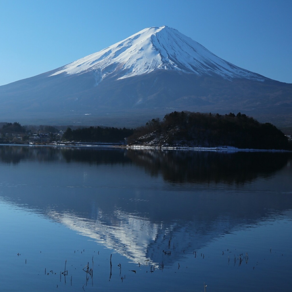 河口湖からの富士山