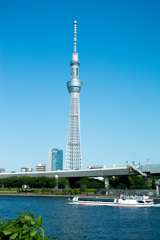 東京スカイツリー