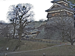 崩れた熊本城