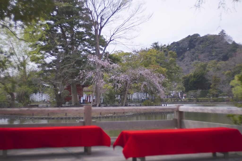 あの日の思い出