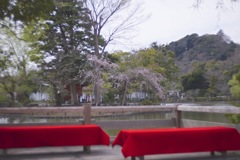 あの日の思い出