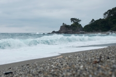 桂浜