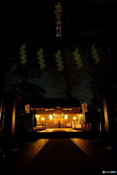 夜の参拝