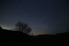 星ってほんと綺麗だなー