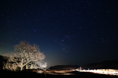 星って綺麗　パート2
