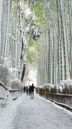 竹林