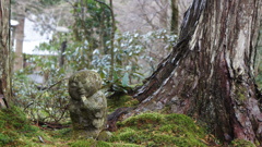 京都