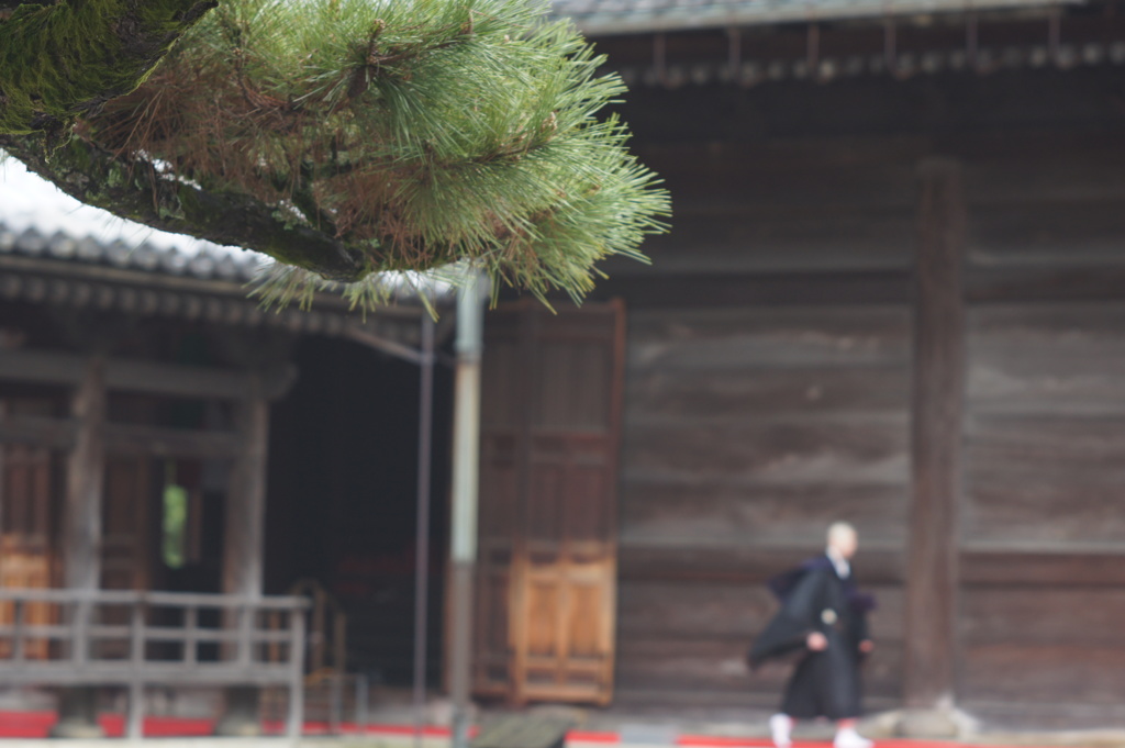 妙心寺