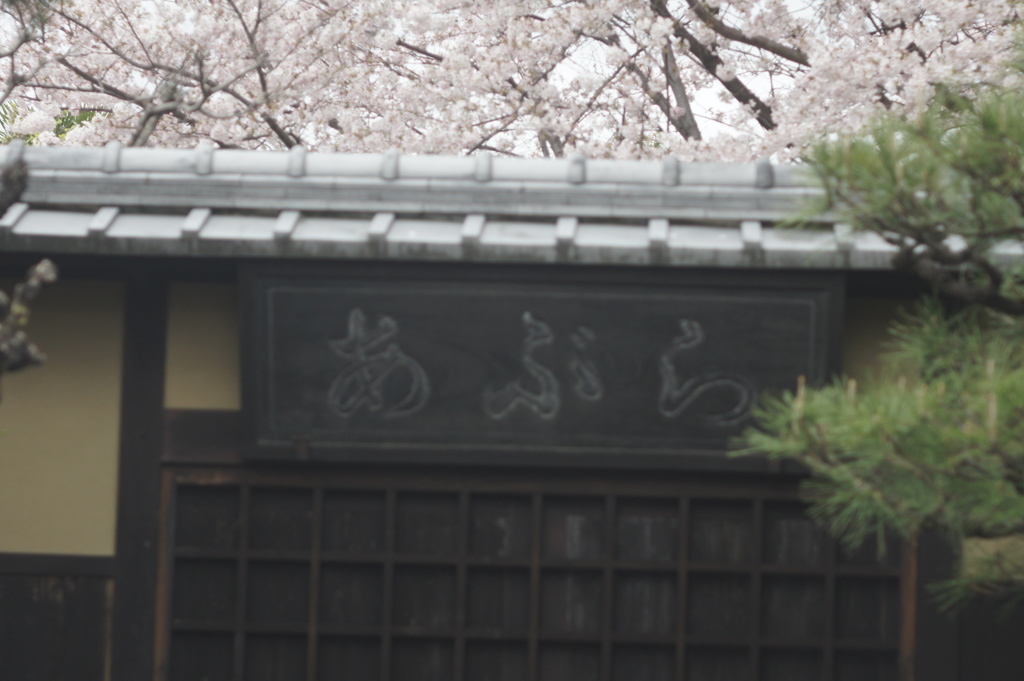 油屋