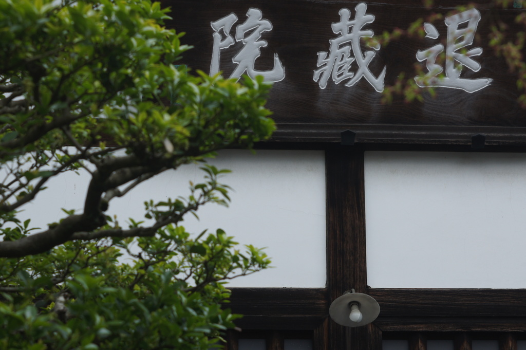 退蔵院