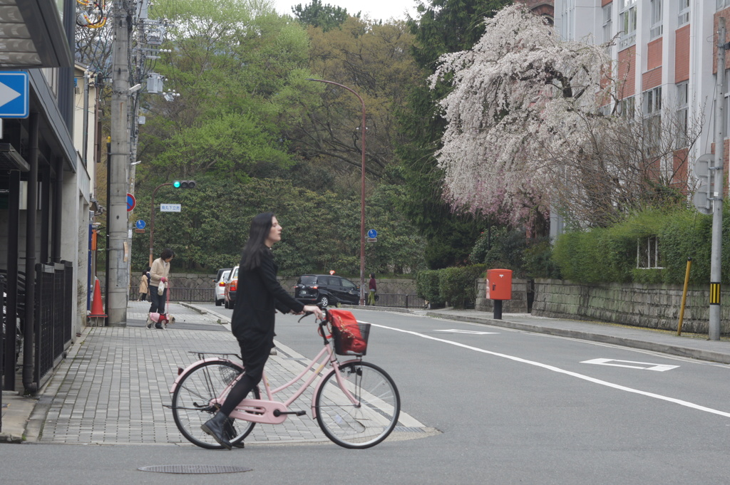 学校
