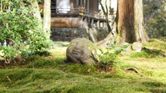 京都