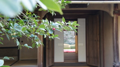 京都