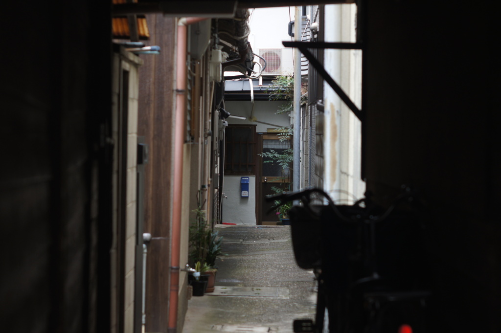 路地