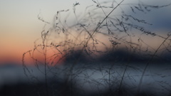 夕暮