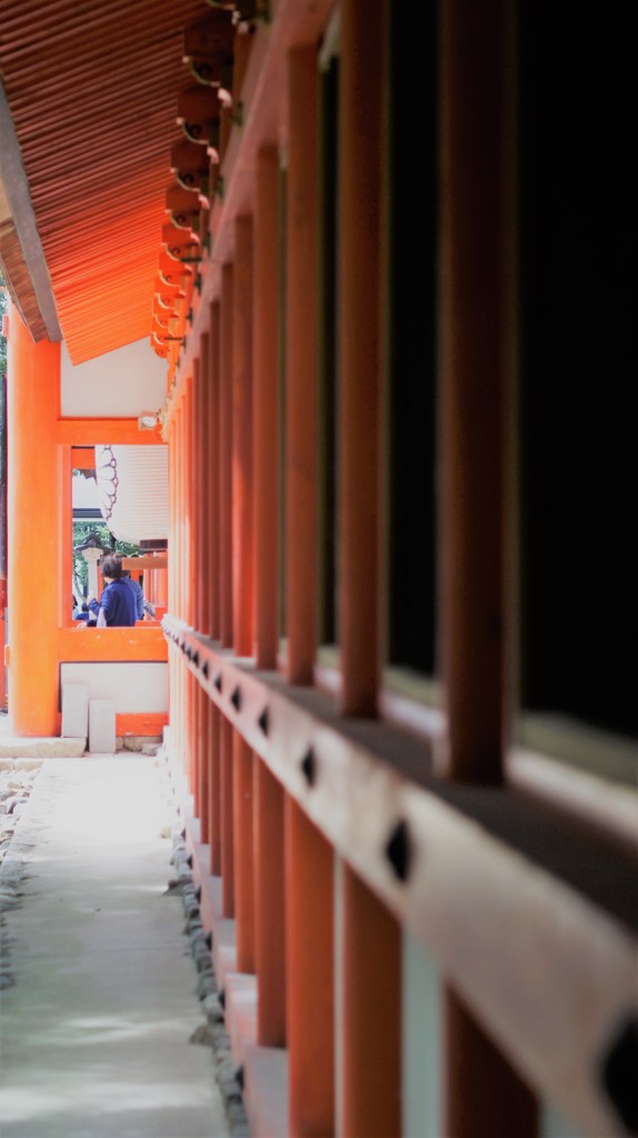 下鴨神社
