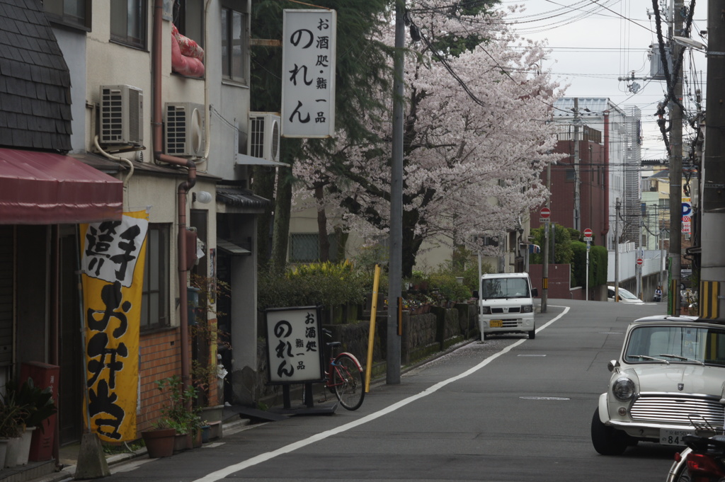 桜